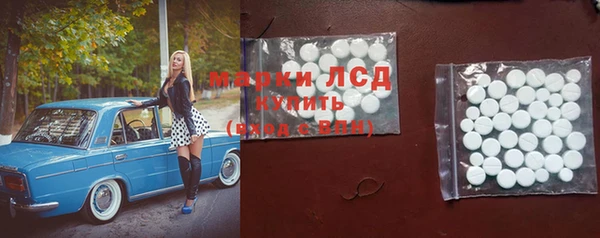 ПСИЛОЦИБИНОВЫЕ ГРИБЫ Алексин